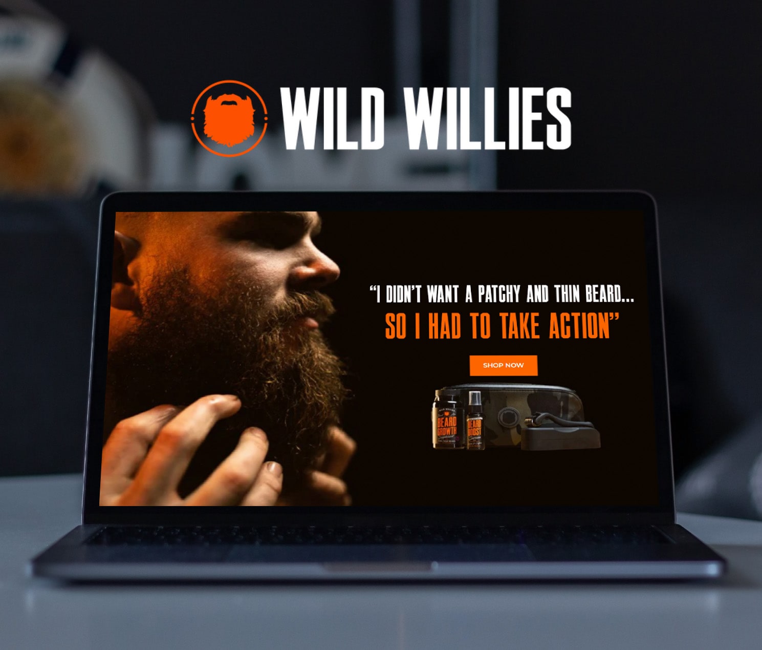 Wild Wiilies - UI/UX design thumbnail